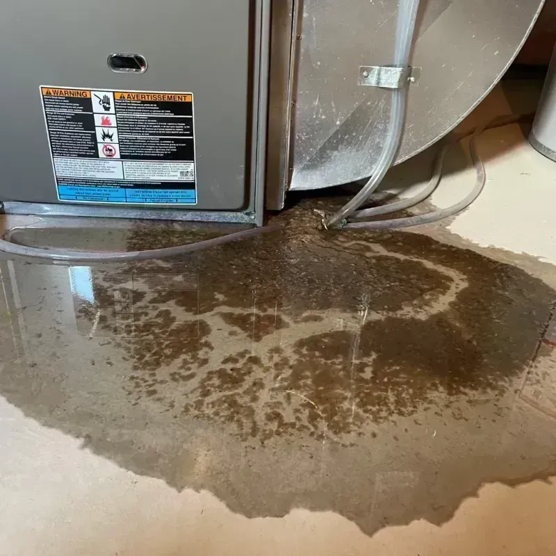 Appliance Leak Cleanup in Cleveland, GA